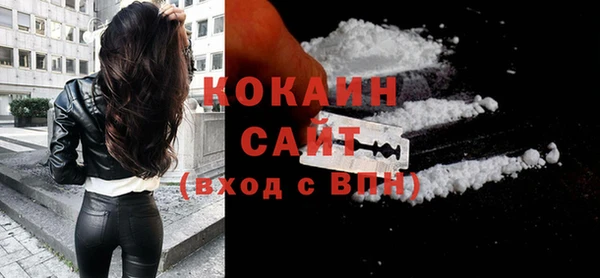 шишки Краснотурьинск