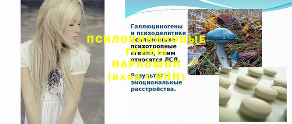 мдпв Лагань