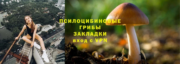 мдпв Лагань