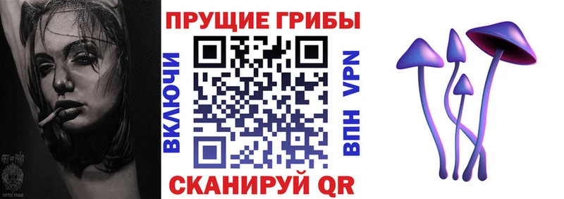 Купить где  Советская Гавань  Галлюциногенные грибы прущие грибы 